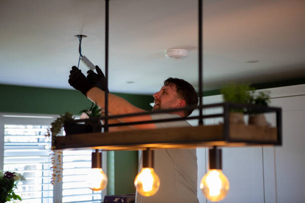 Best Electric Panel Repair  in Lake Mary Jane, FL